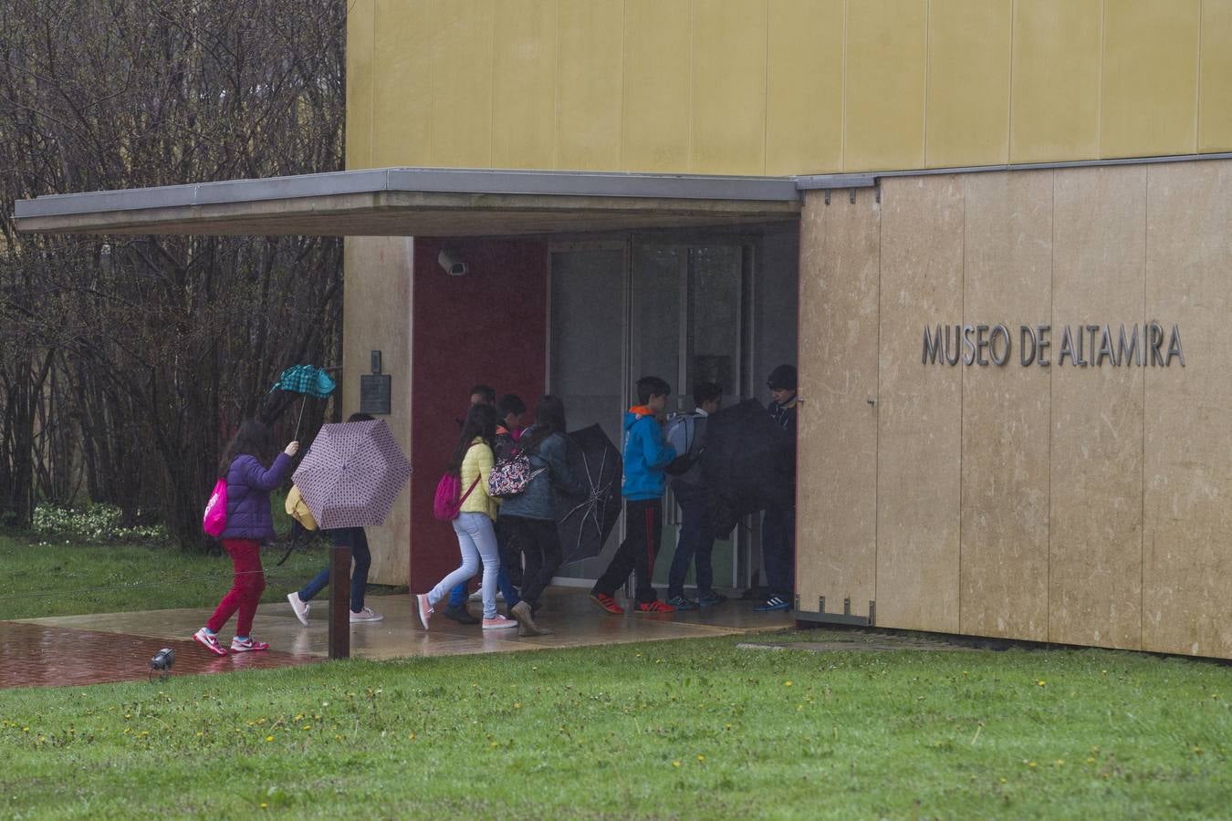 Emociones en la neocueva