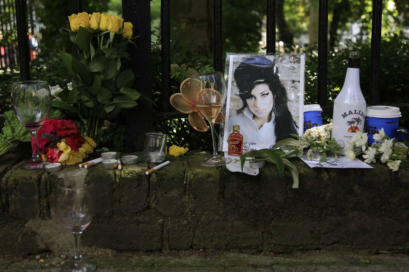 La triste historia de Amy