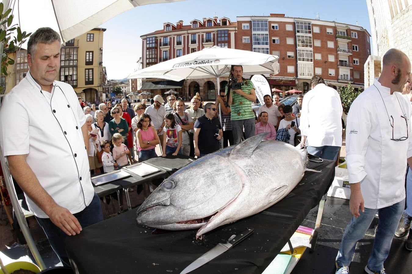 Ronqueo de atún en Torrelavega