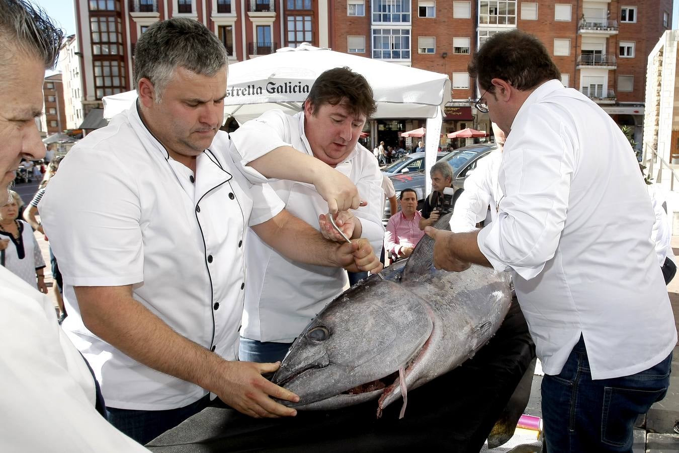 Ronqueo de atún en Torrelavega