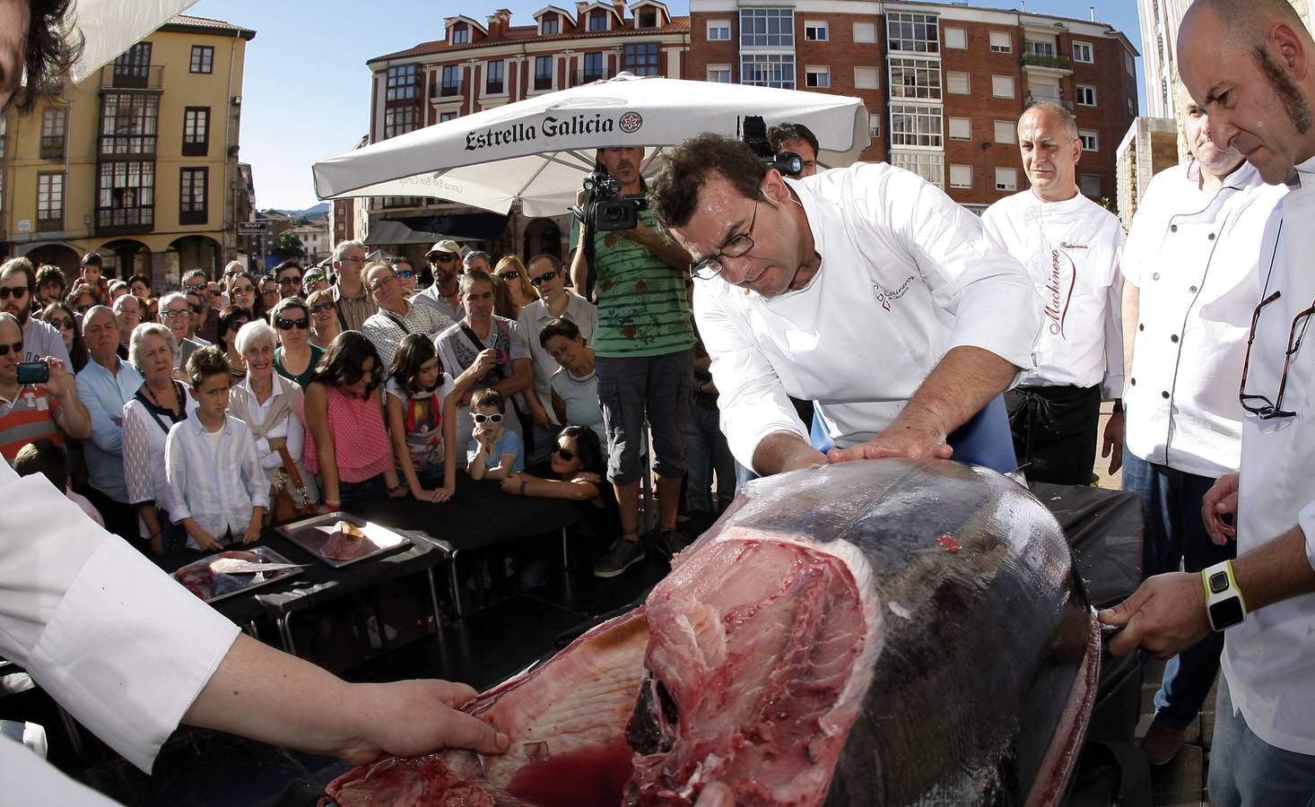 Ronqueo de atún en Torrelavega