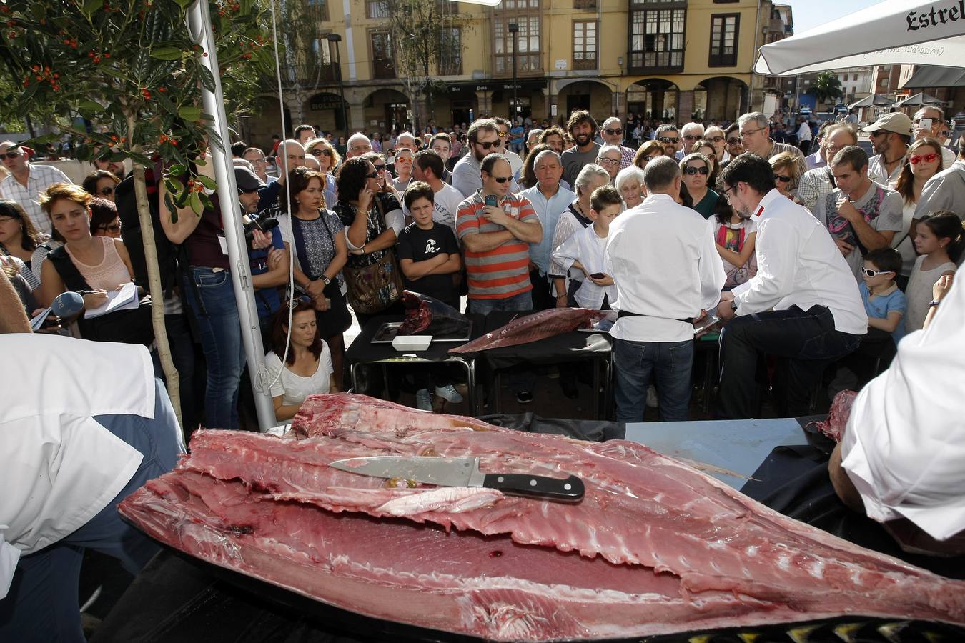 Ronqueo de atún en Torrelavega