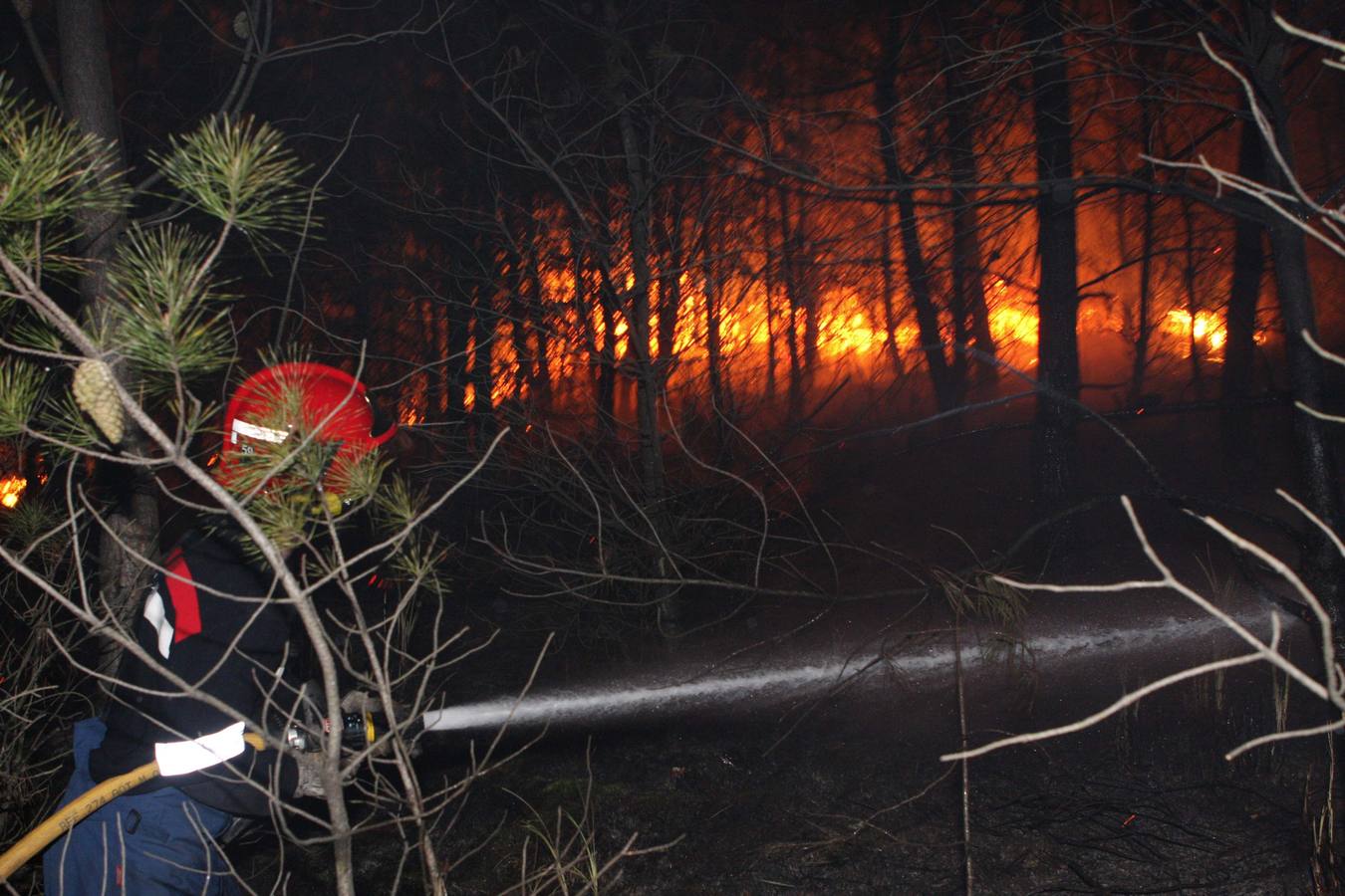 Incendio forestal en Torres Arriba (Torrelavega)