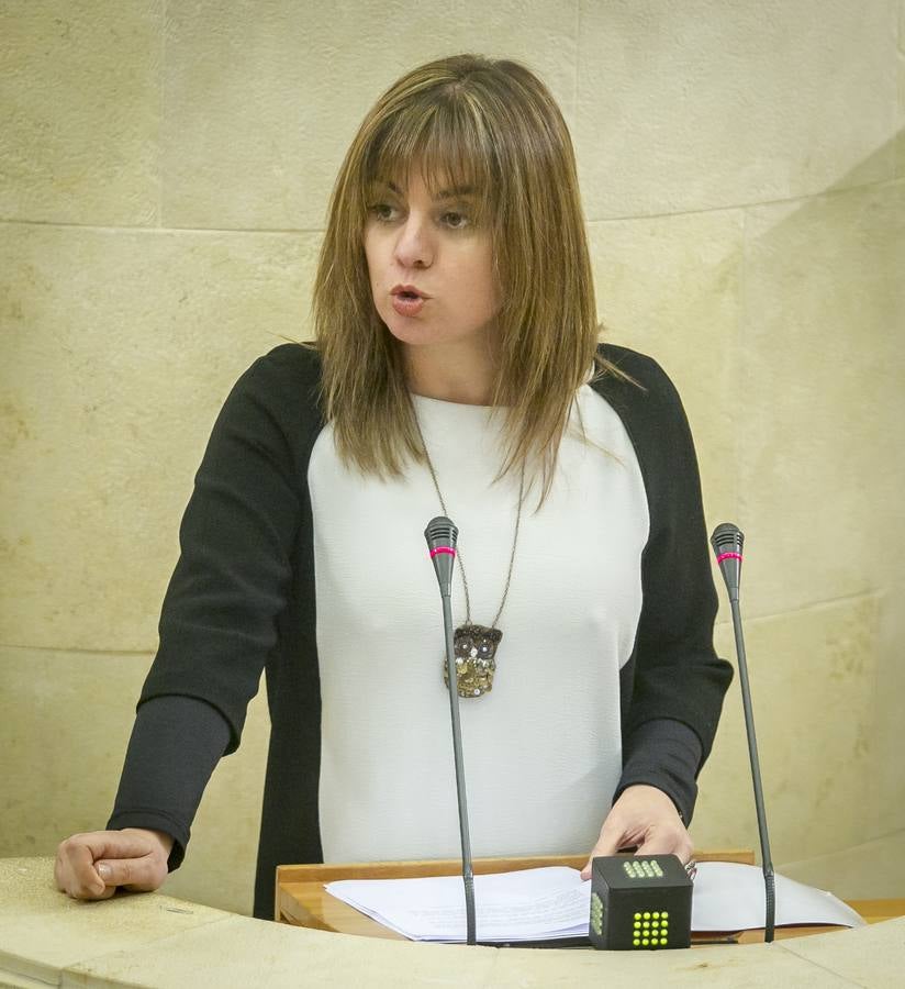 El Parlamento reconoce el lábaro aunque sin consenso