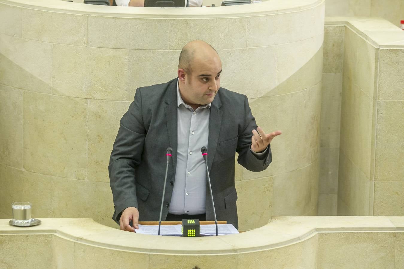 El Parlamento reconoce el lábaro aunque sin consenso