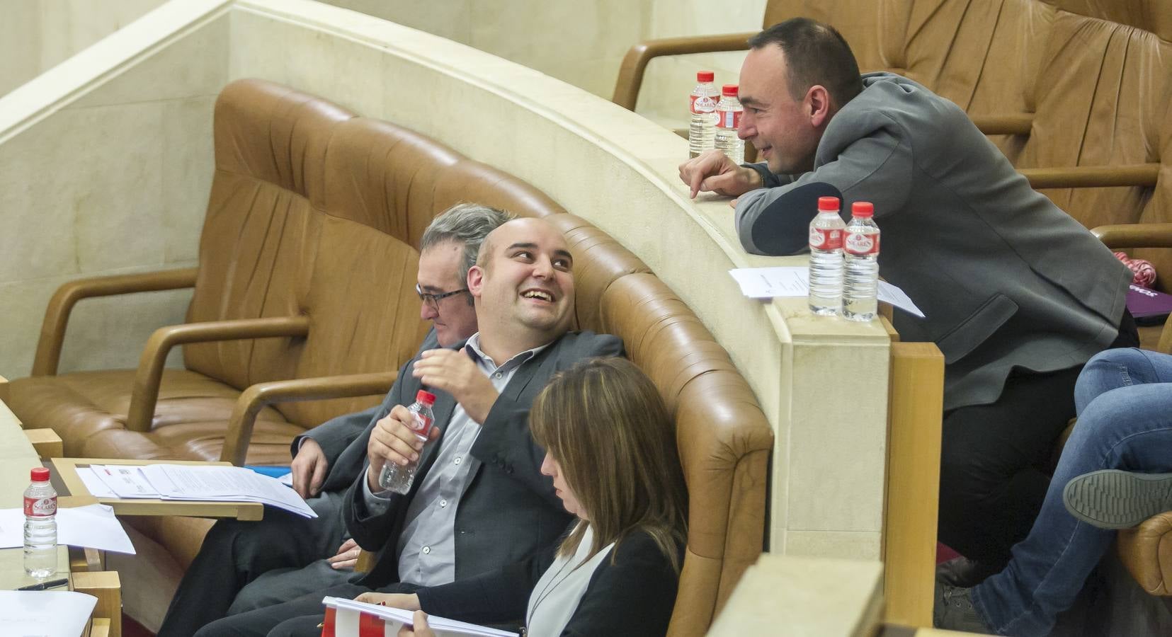 El Parlamento reconoce el lábaro aunque sin consenso