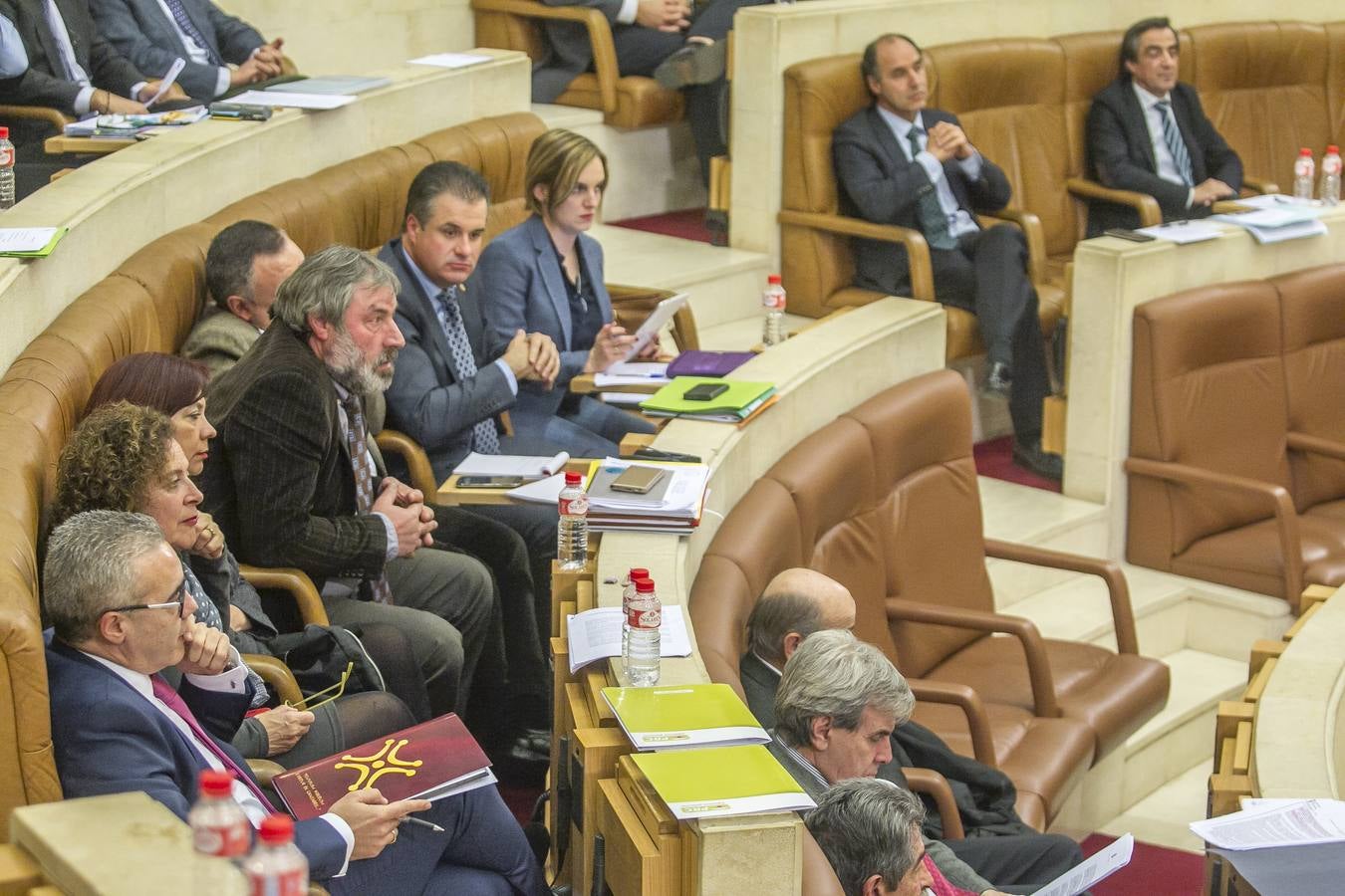 El Parlamento reconoce el lábaro aunque sin consenso