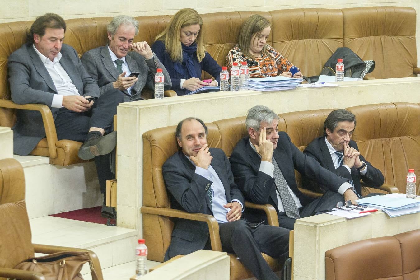 El Parlamento reconoce el lábaro aunque sin consenso