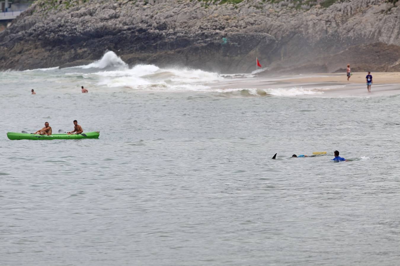 Aparece un delfín en la playa de Comillas