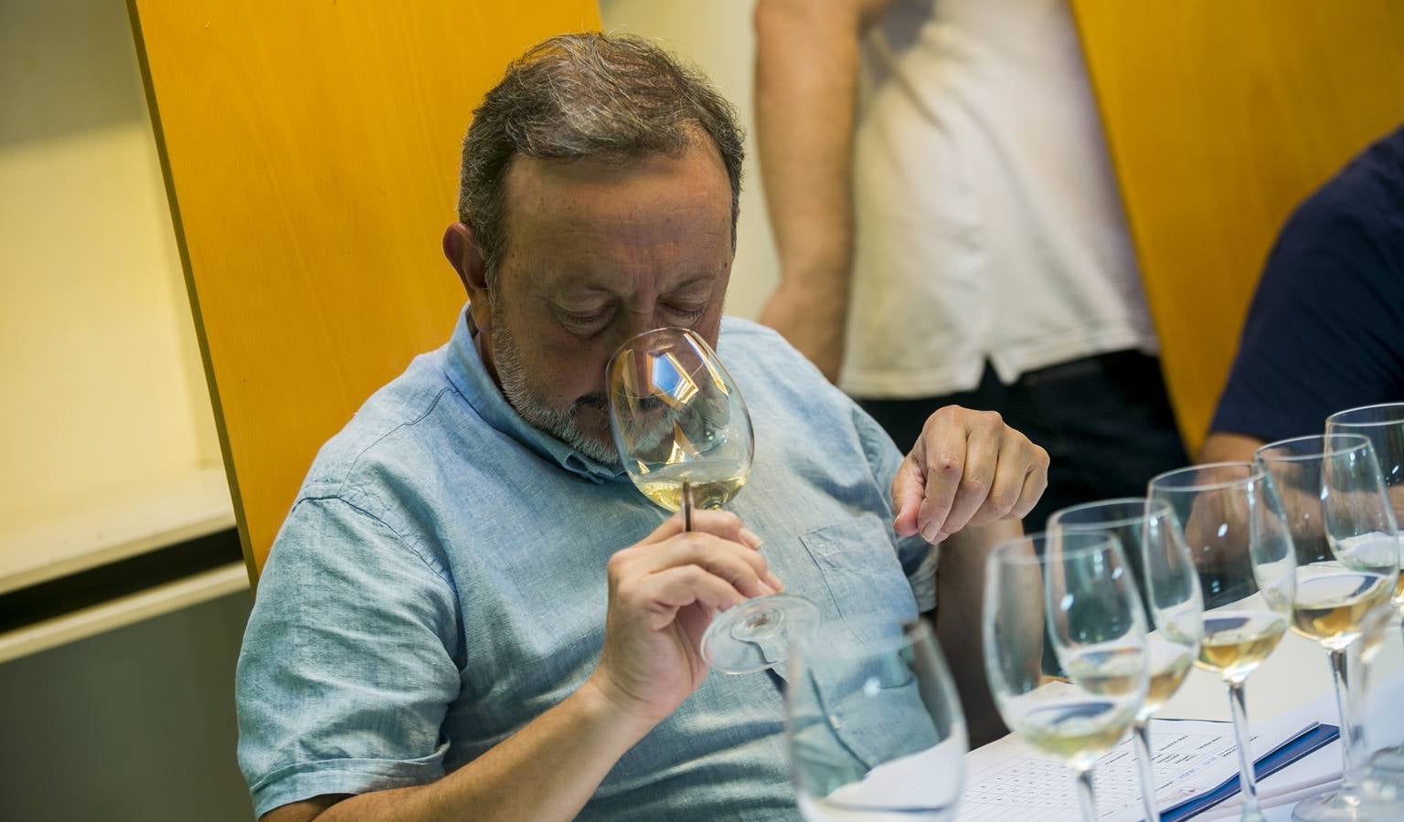 Cata de los mejores vinos