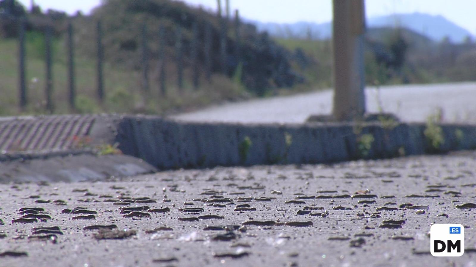 Las orugas invaden Cantabria
