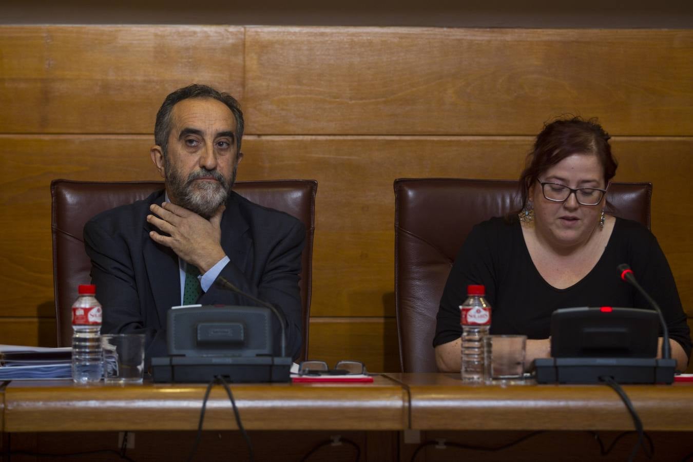 Comisión parlamentaria sobre Sodercán