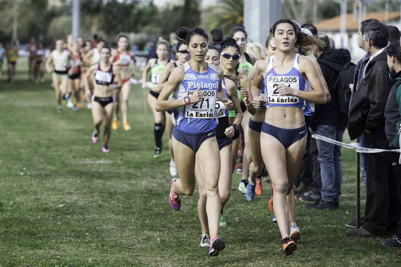Regional de cross
