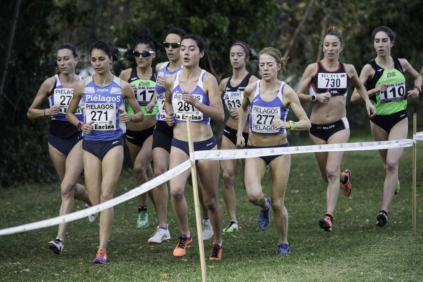 Regional de cross