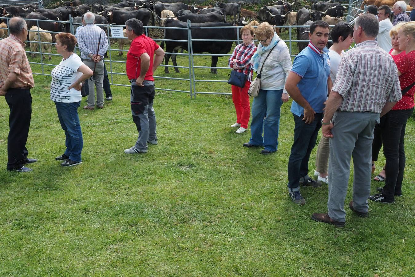 Concursos de ganado por San Isidro
