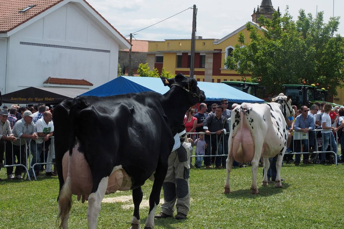 Concursos de ganado por San Isidro