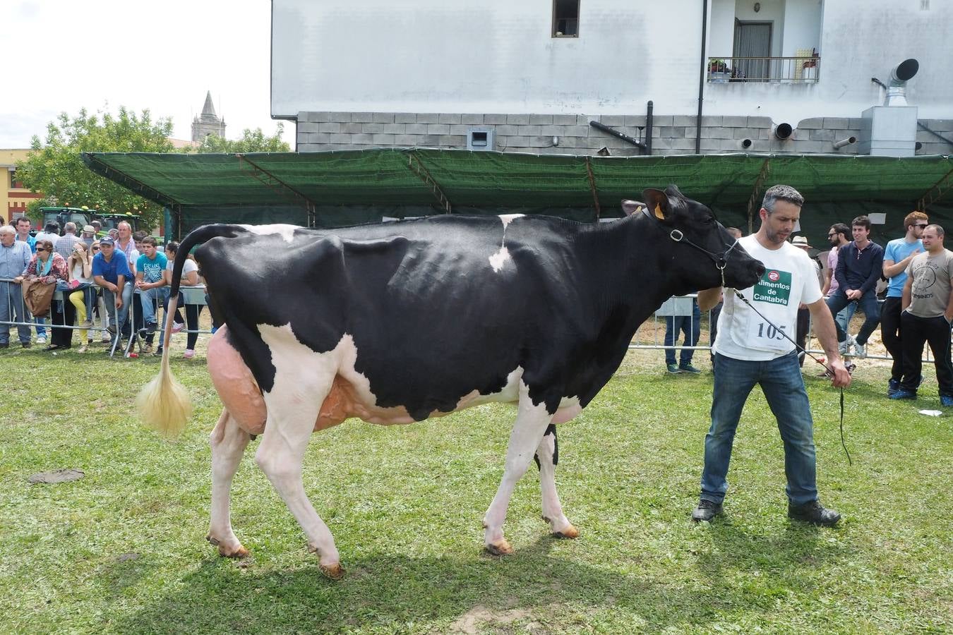 Concursos de ganado por San Isidro