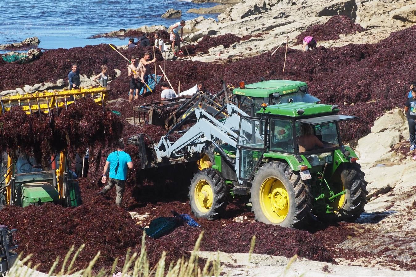 La caloca desembarca en La Maruca