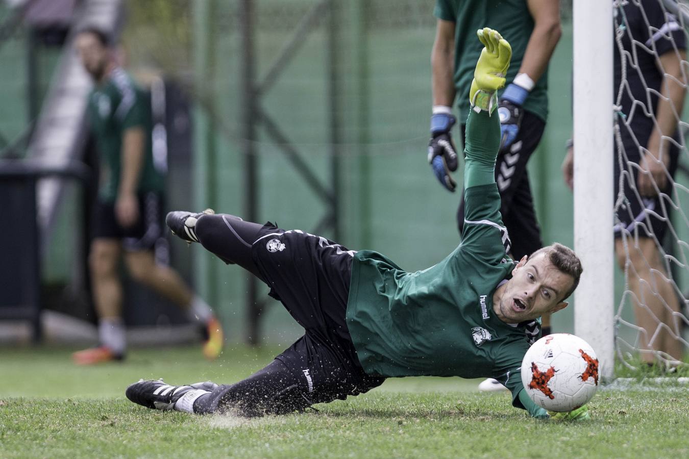 Entrenamiento en La Albericia