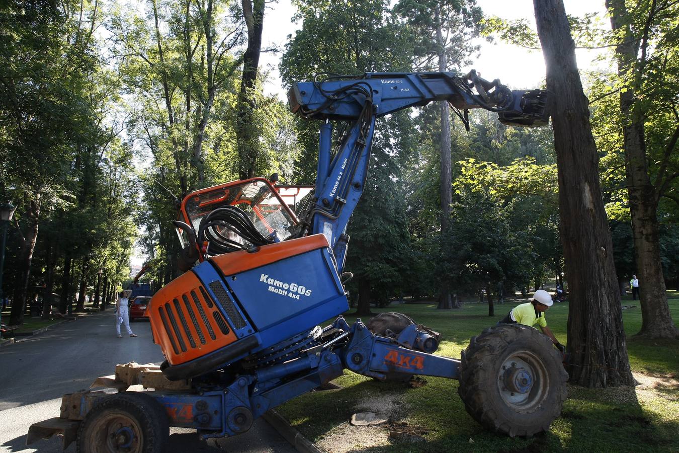 El Ayuntamiento de Torrelavega ha comenzado hoy a retirar del Parque Manuel Barquín los alrededor de 40 árboles muertos o en muy mal estado según el estudio encargado recientemente por la Concejalía de Medio Ambiente.