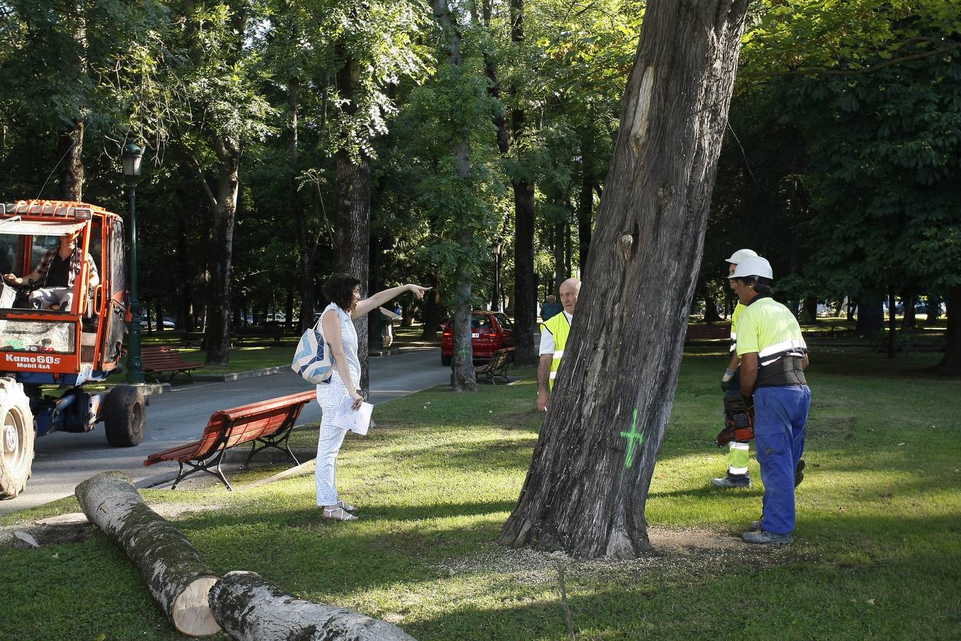 El Ayuntamiento de Torrelavega ha comenzado hoy a retirar del Parque Manuel Barquín los alrededor de 40 árboles muertos o en muy mal estado según el estudio encargado recientemente por la Concejalía de Medio Ambiente.
