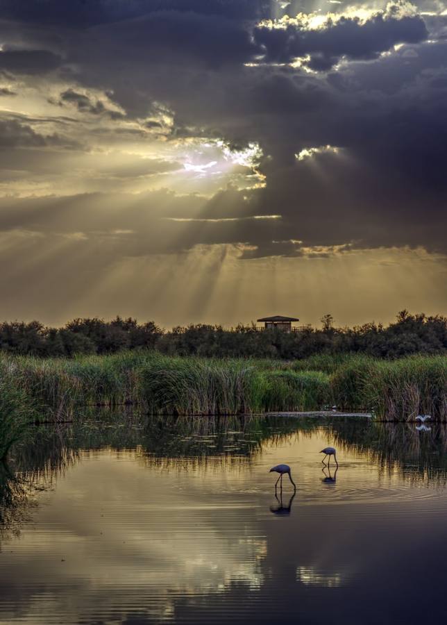 6. Atardecer en las Tablas de Daimiel. Ángel M. Felicísimo, CC BY-SA