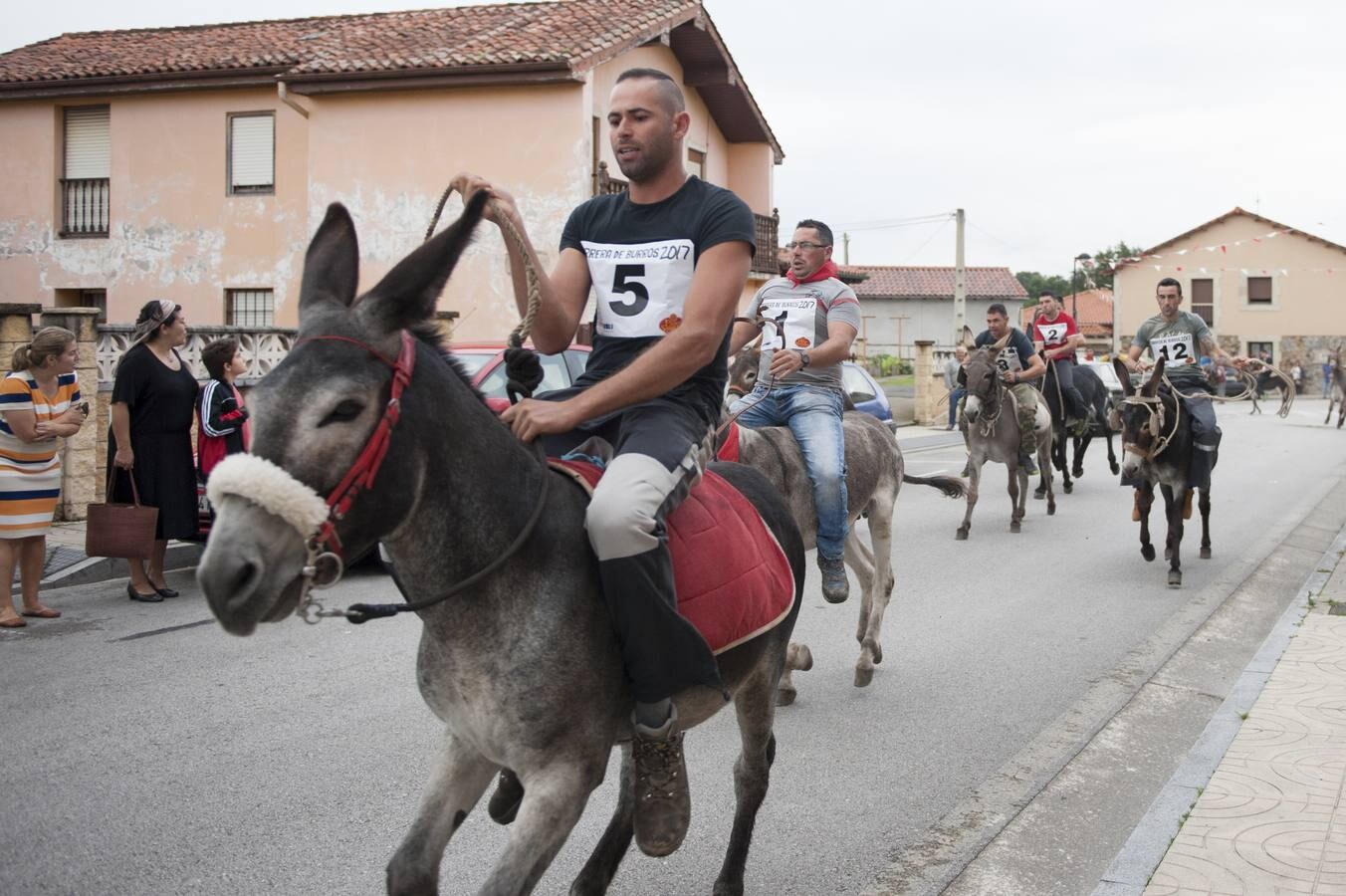 Doce burros compitieron en la tradicional carrera taniega