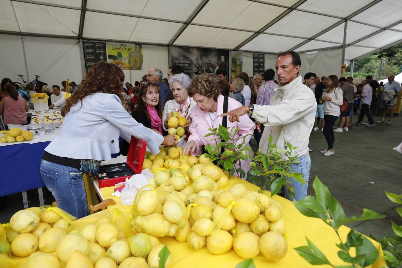 Fiesta de los limones solidarios de Novales