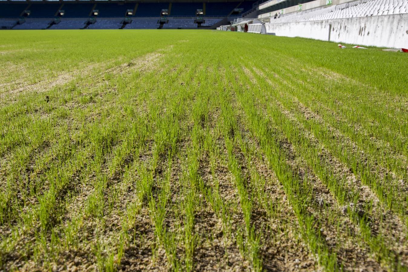 Remozando el estadio