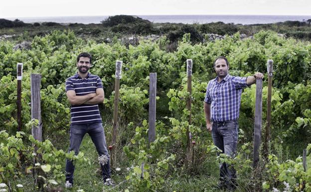 Diego Amilibia y Pedro Agudo, en Cueto, junto a sus parras. 