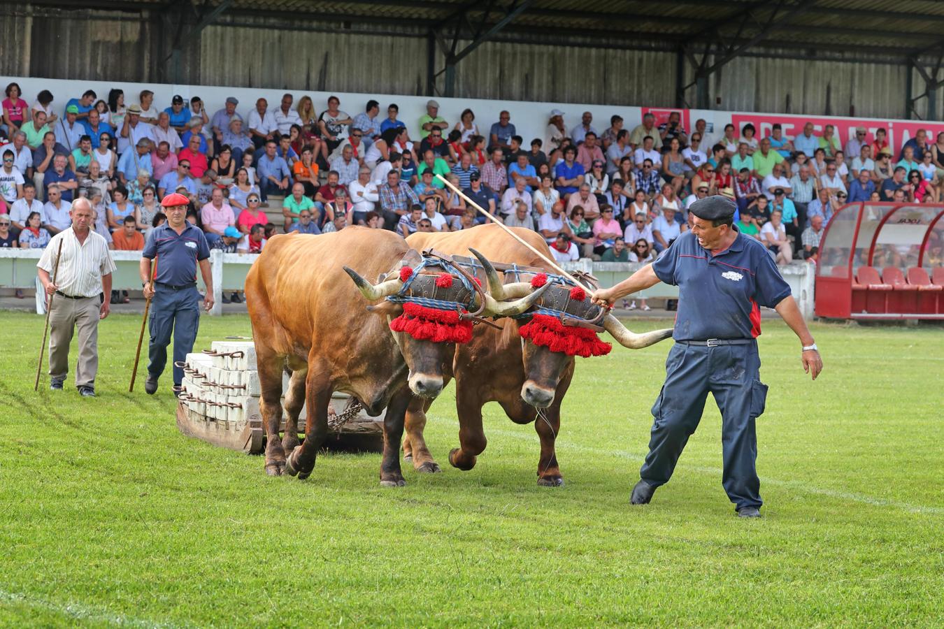 Celebración del Día de Cantabria en Cabezón de la Sal