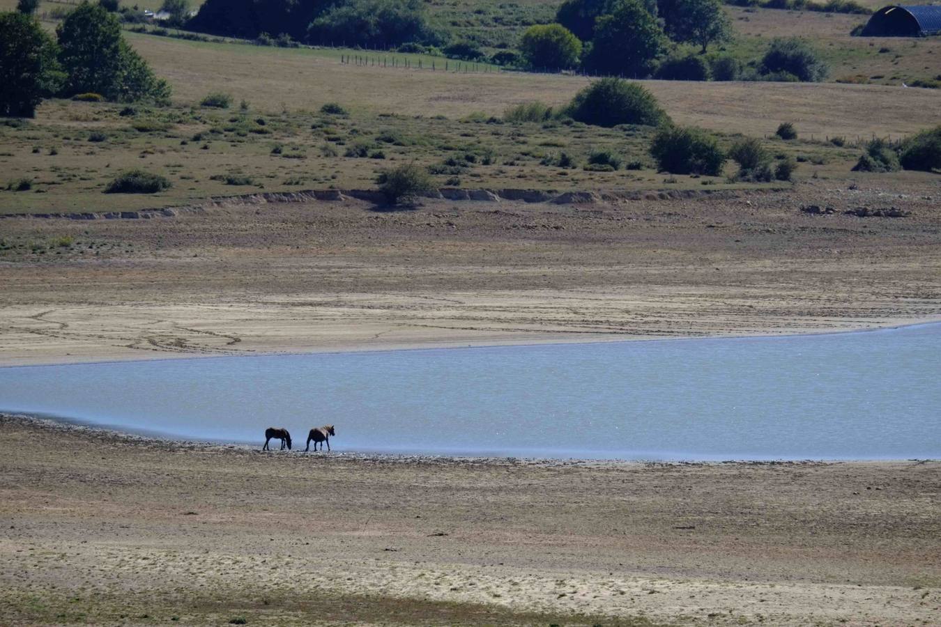 La sequía reduce el nivel del Pantano al 31%