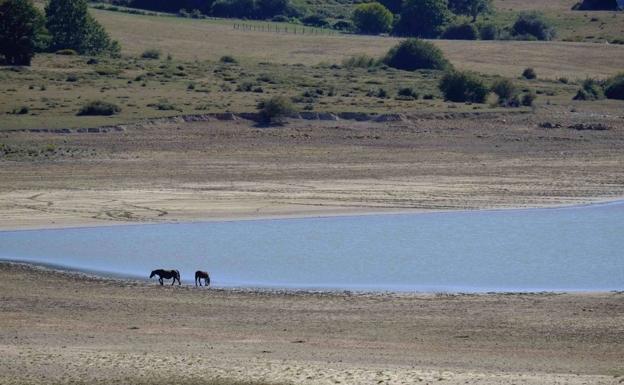 Oria dice que la falta de lluvia no está afectando a los cultivos