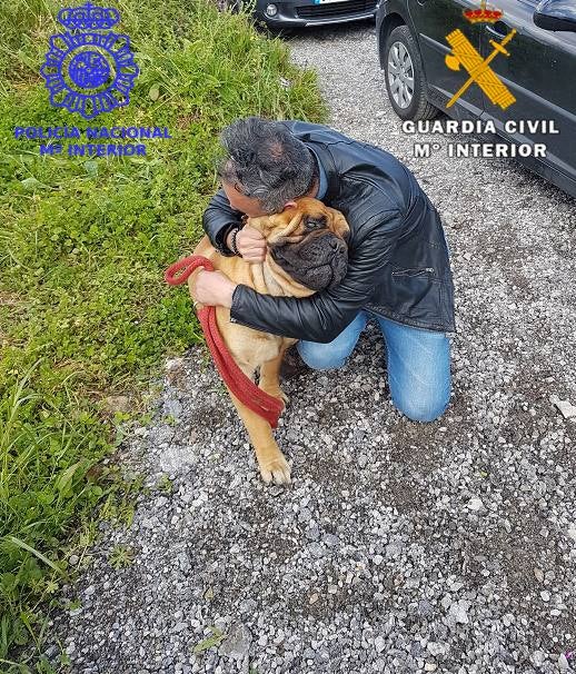 Cuatro perros, un pony y un quad vuelven a sus legítimos dueños tras la detención de los autores de media docena de robos