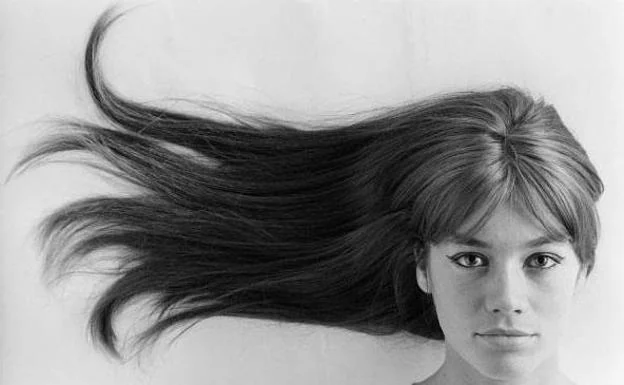 «Françoise Hardy sentía amor por la música pero no por exponer su intimidad»