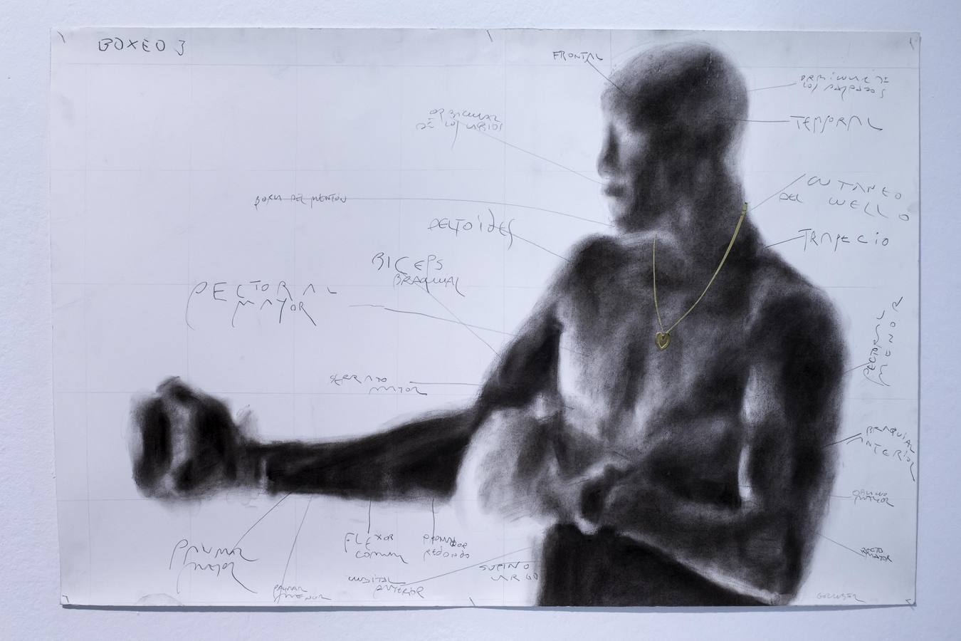 Imágenes de la exposición de Gruber