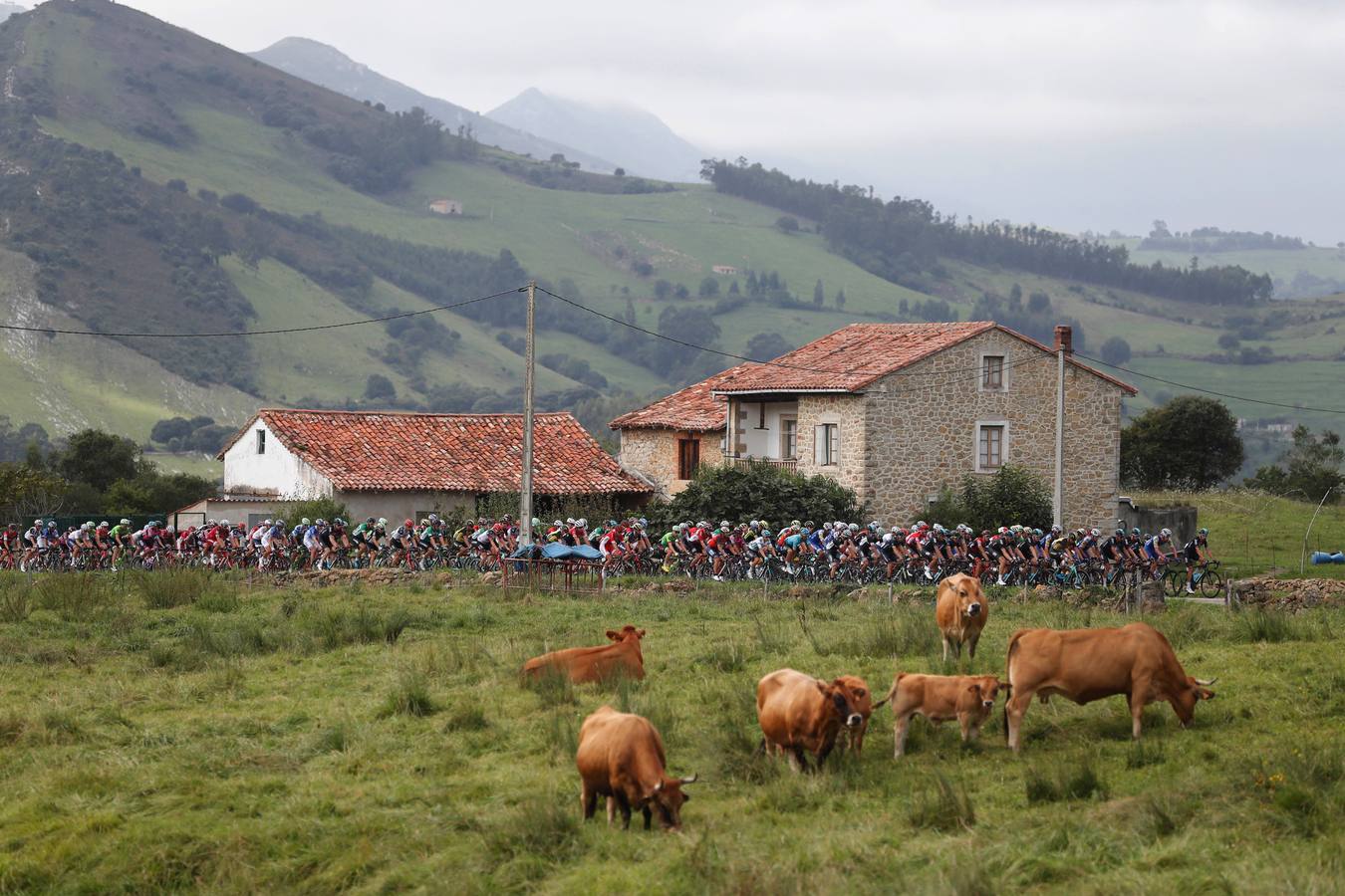 Imágenes de la etapa Suances-Santo Toribio