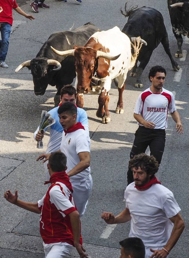  2,36 minutos ha tardado la manada en regresar al coso taurino, en una carrera que ha destacado por su rapidez, especialmente en la ida