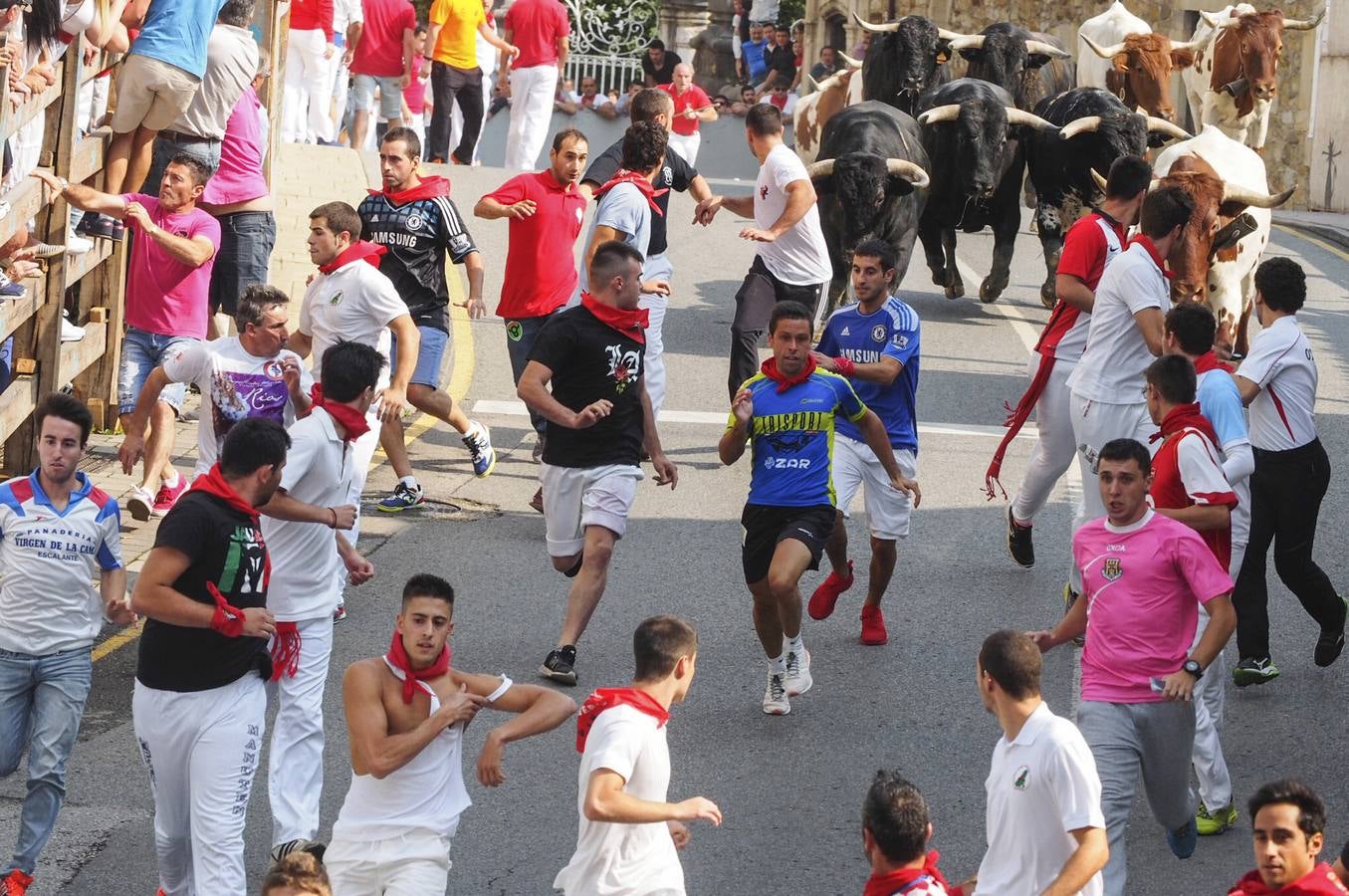  2,36 minutos ha tardado la manada en regresar al coso taurino, en una carrera que ha destacado por su rapidez, especialmente en la ida