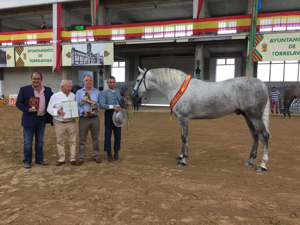 Imágenes de ediciones anteriores del Concurso Morfológico &#039;Ciudad de Torrelavega&#039;