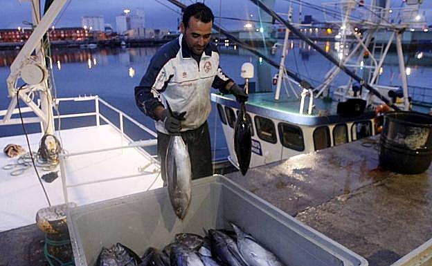 Los pescadores cántabros advierten de la amenaza del arrastre para el bonito