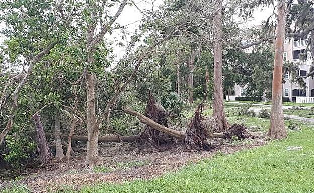 «Irma no llegó con fuerza a Orlando»