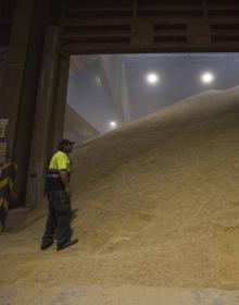 Imagen secundaria 2 - La sequía multiplica la importación de cereal en Cantabria