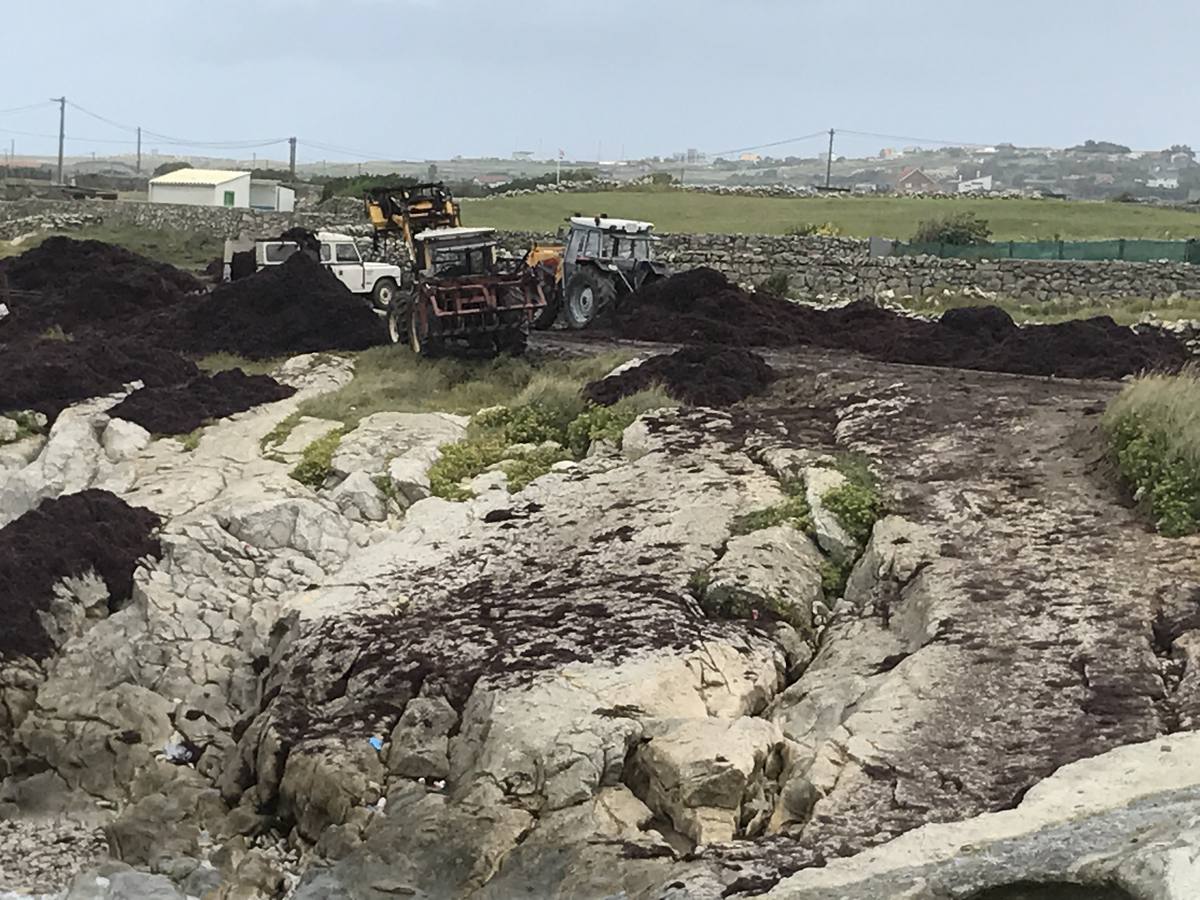 La caloca inunda la costa