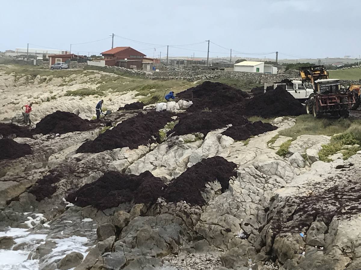 La caloca inunda la costa