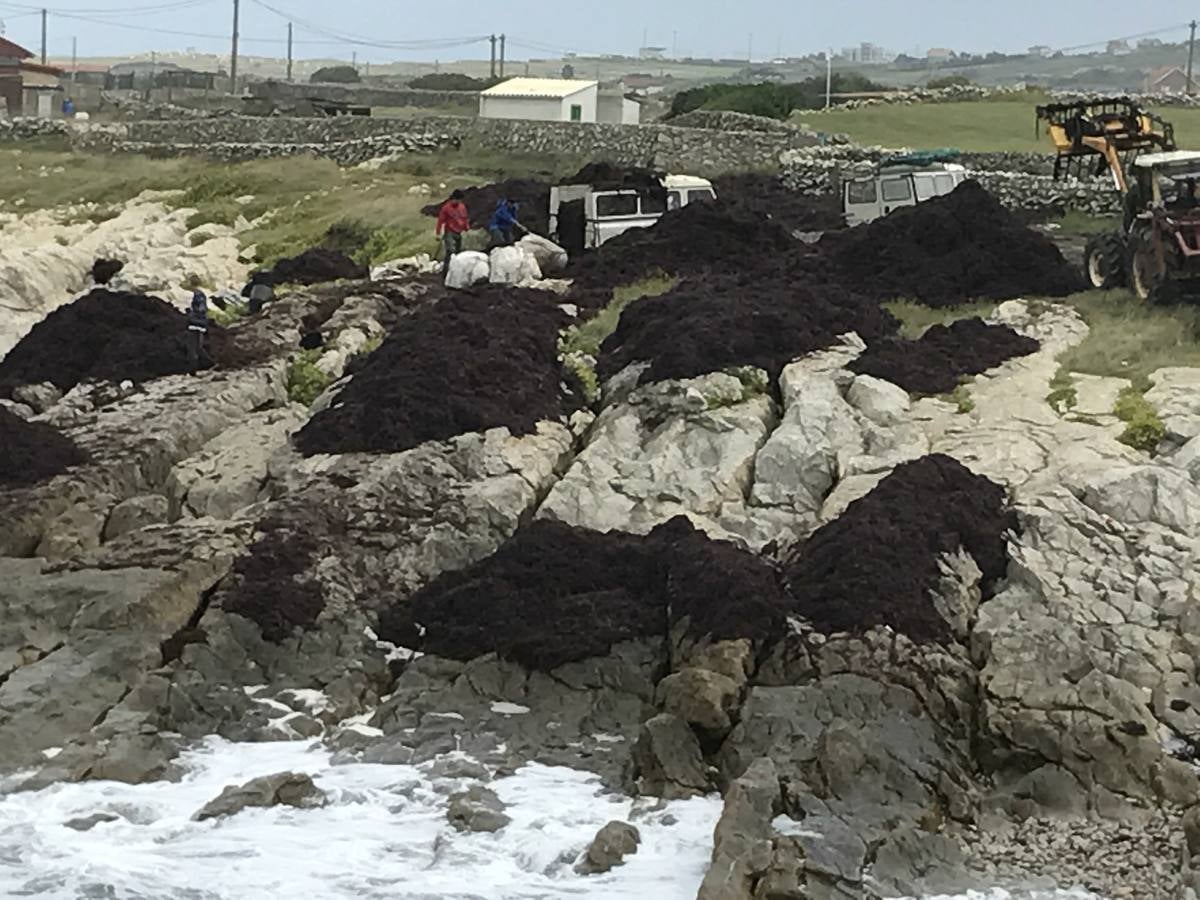 La caloca inunda la costa