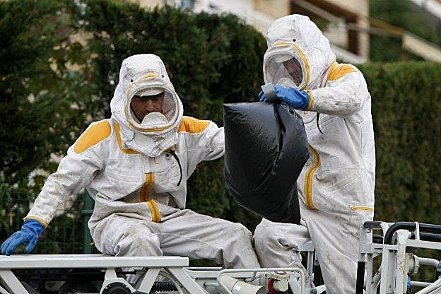 Dos bomberos de Torrelavega proceden a la retirada de un nido de avispa asiática. 