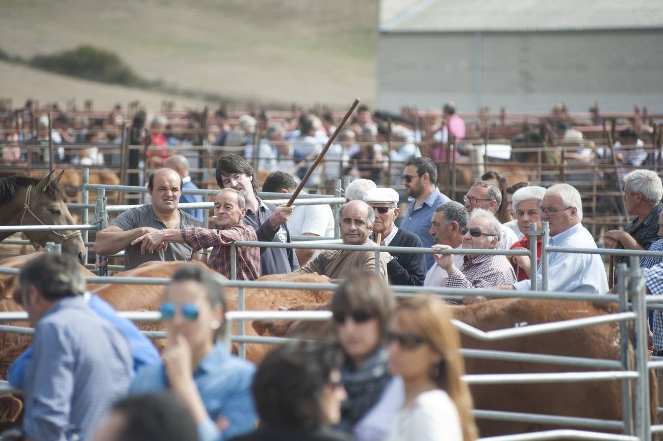 Feria de San Mateo