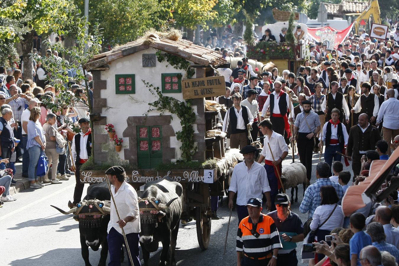 Búscate en las fotos si estuviste en el Día de Campoo