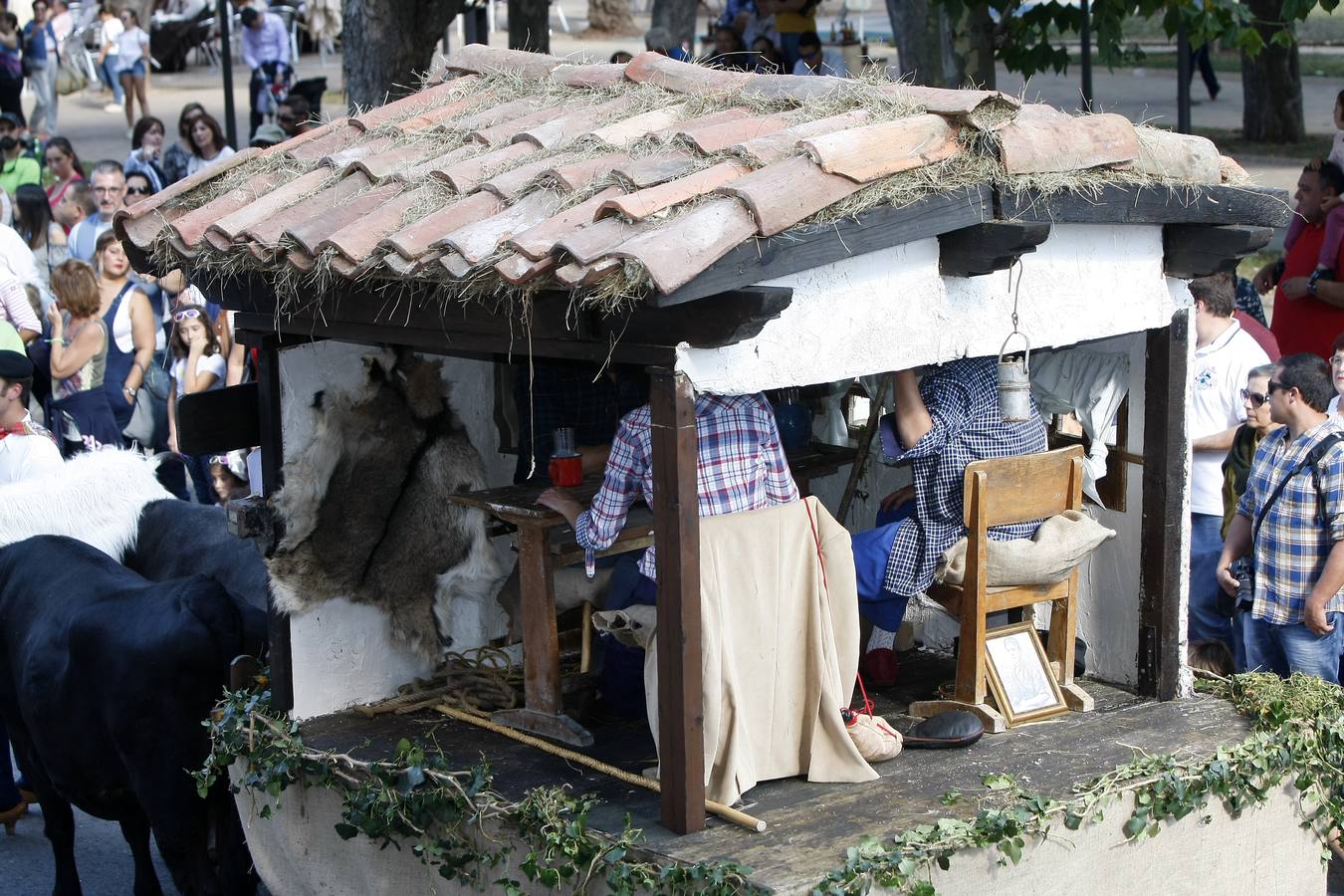 Búscate en las fotos si estuviste en el Día de Campoo